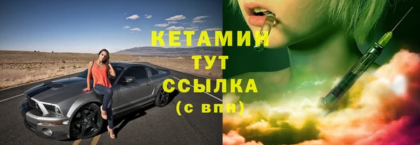 мдпв Гусев