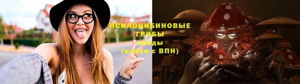 мдпв Гусев