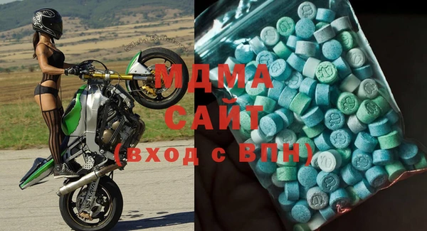 мдпв Гусев