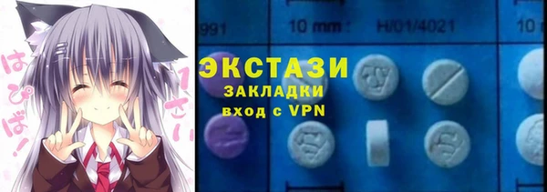 мдпв Гусев