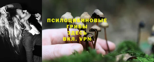 гашик Гусь-Хрустальный