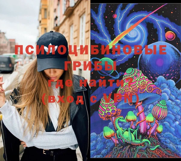 гашик Гусь-Хрустальный