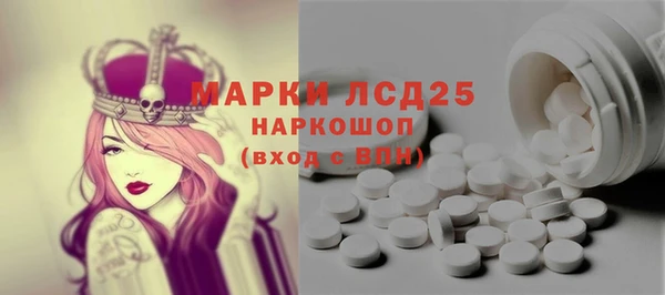 мдпв Гусев