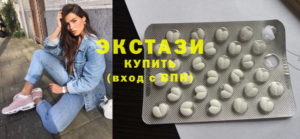 мдпв Гусев