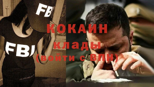 гашик Гусь-Хрустальный