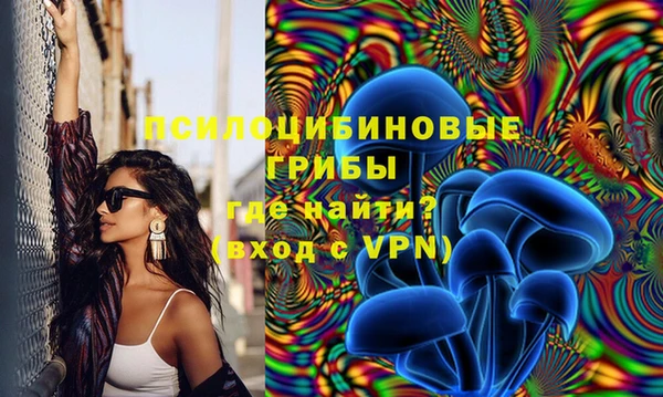 марки lsd Дмитровск
