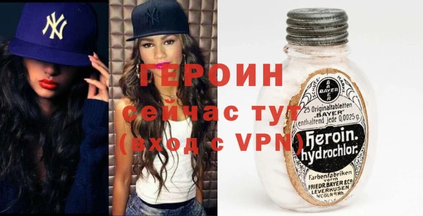 мдпв Гусев