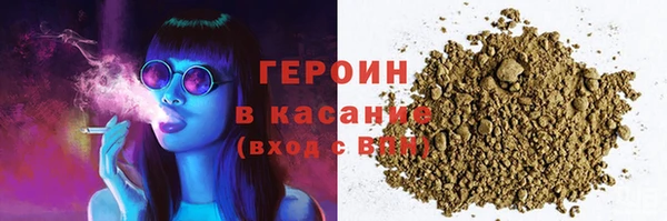 мдпв Гусев