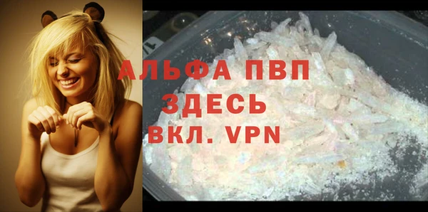 гашик Гусь-Хрустальный